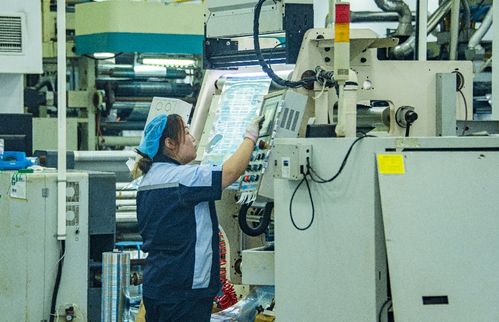 競(jìng)逐智改數(shù)轉(zhuǎn)新賽道 南通啟東繪就高智藍(lán)圖