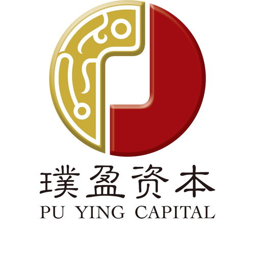 上海璞盈投資管理 企業(yè)管理之道與投資策略融合